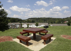 Londontown Apartments in Knoxville, TN - Building Photo - Building Photo