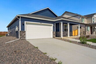 6056 Amerifax Dr in Windsor, CO - Building Photo - Building Photo