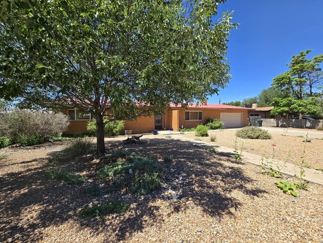 property at 512 Camino Solano