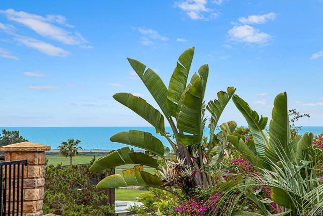 property at 12941 Via Esperia