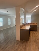 15727 Cotton Tail Ln in San Antonio, TX - Building Photo