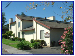 Twin Tree Apartments in Santa Rosa, CA - Building Photo - Building Photo