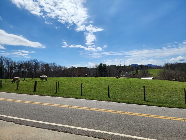 917 Olivette Rd in Asheville, NC - Building Photo - Building Photo