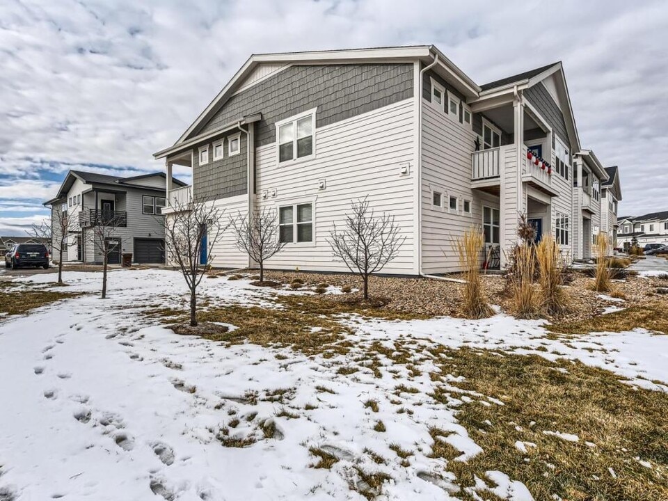 2290 Setting Sun Dr in Windsor, CO - Building Photo
