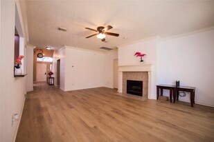 10035 Magnolia Way in Houston, TX - Building Photo