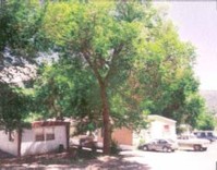 Shady Mountain Trailer Park in Raton, NM - Foto de edificio - Other