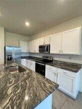 32561 Turtle Grace Lp in Wesley Chapel, FL - Foto de edificio - Building Photo
