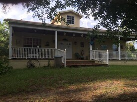 509 Penski Rd in Venus, FL - Building Photo