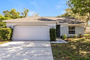 10935 Livingston Dr in New Port Richey, FL - Building Photo
