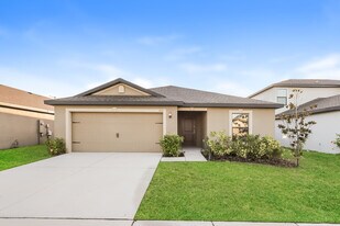 1113 Brenton Leaf Dr in Ruskin, FL - Building Photo