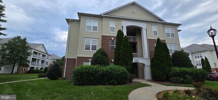 42496 Mayflower Terrace in Ashburn, VA - Building Photo - Building Photo