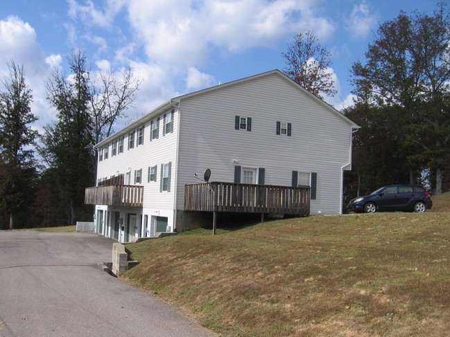 1 Frankie Ln in Elkview, WV - Foto de edificio - Building Photo