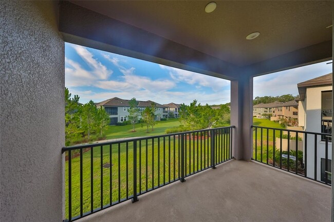 4925 San Martino Dr in Wesley Chapel, FL - Foto de edificio - Building Photo