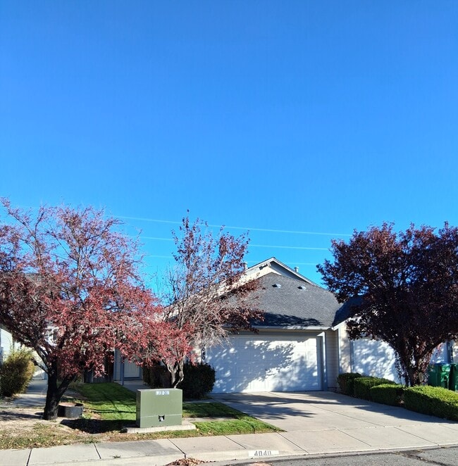 4040 Gordon St in Carson City, NV - Building Photo - Building Photo
