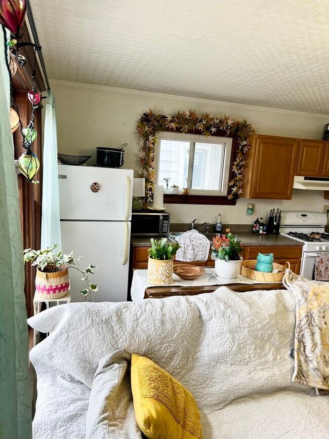 1279 Park Ave, Unit Apartment 1 in Rochester, NY - Building Photo - Building Photo