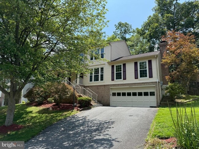 property at 3853 Appaloosa Dr