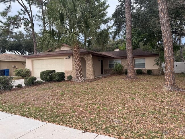 1904 Peppertree Dr in Oldsmar, FL - Building Photo - Building Photo