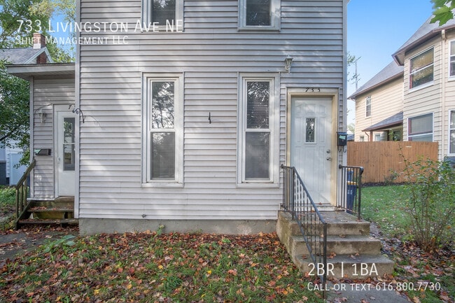 733 Livingston Ave NE in Grand Rapids, MI - Building Photo - Building Photo