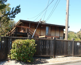 Laplaya Apartments in Lafayette, CA - Building Photo - Building Photo