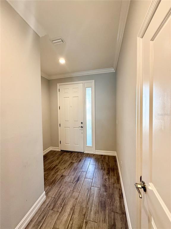 3228 Painted Blossom Ct in Lutz, FL - Building Photo - Building Photo