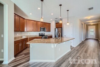 10514 Medford Lakes Dr in Riverview, FL - Building Photo - Building Photo