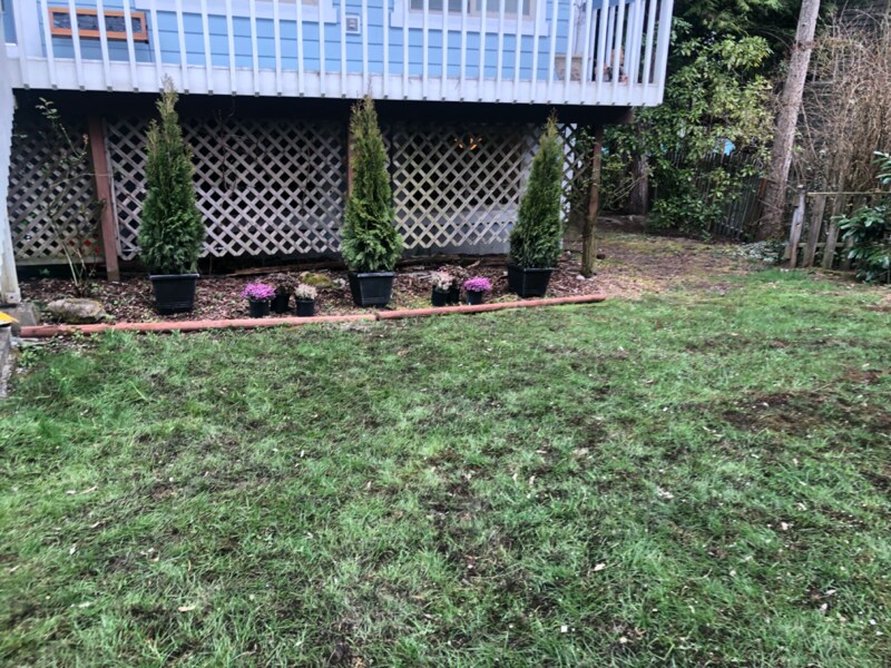 530 NW Carolyn Ln-Unit -B in Poulsbo, WA - Building Photo