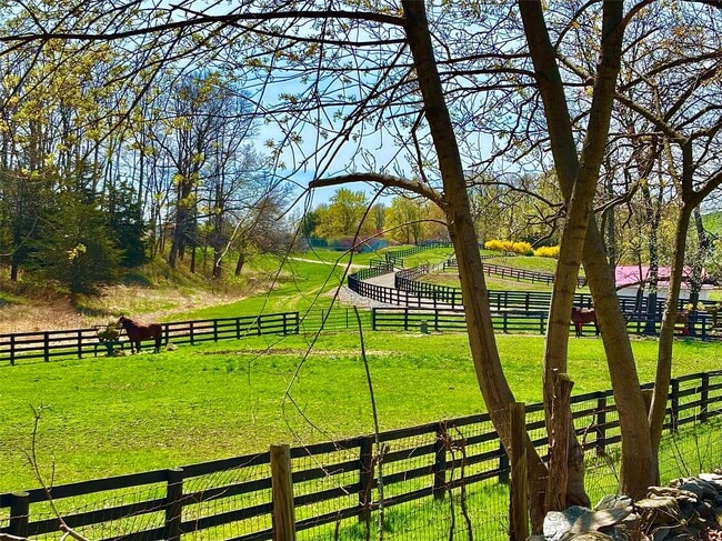 5 Espie Rd in Rhinebeck, NY - Building Photo - Building Photo