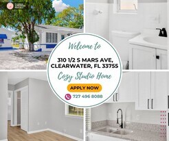 310 S Mars Ave, Unit 310.5 in Clearwater, FL - Building Photo