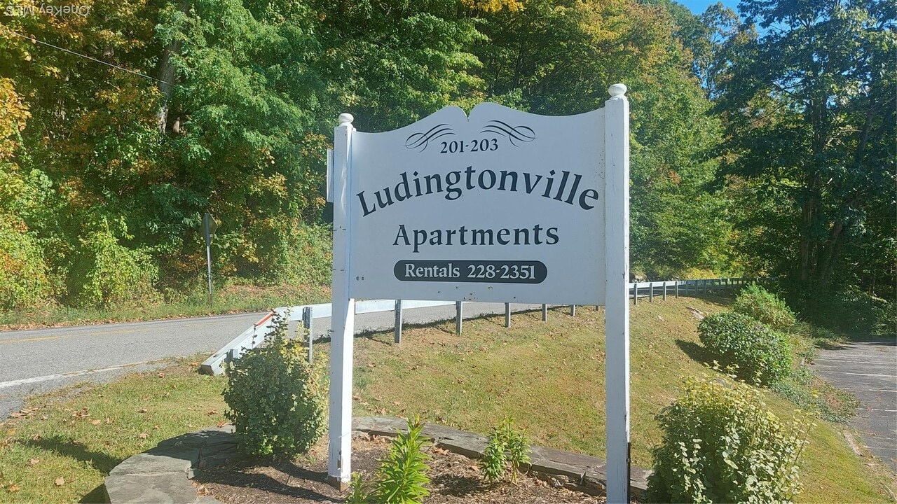 203 Ludingtonville Rd in Holmes, NY - Building Photo