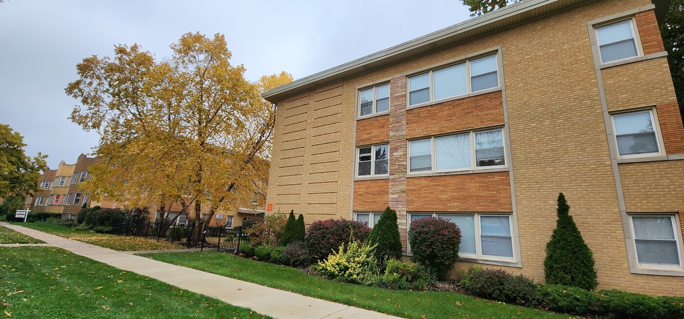 1955 Euclid Ave in Berwyn, IL - Building Photo