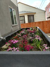 3961 Halldale Ave, Unit 1 in Los Angeles, CA - Building Photo - Building Photo