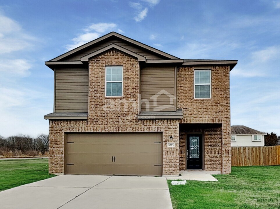 1025 Violet Ln in Kyle, TX - Building Photo