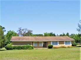 6603 Brooklet-Denmark Rd in Brooklet, GA - Building Photo