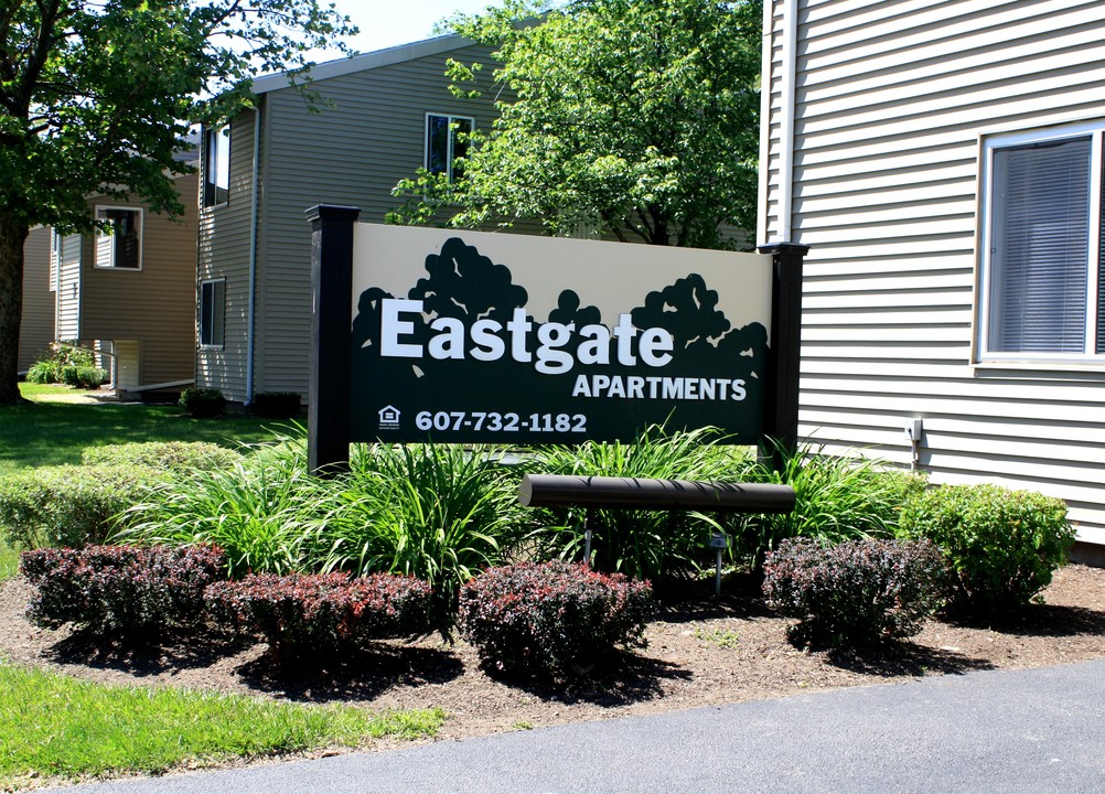 Eastgate Apartments in Elmira, NY - Building Photo