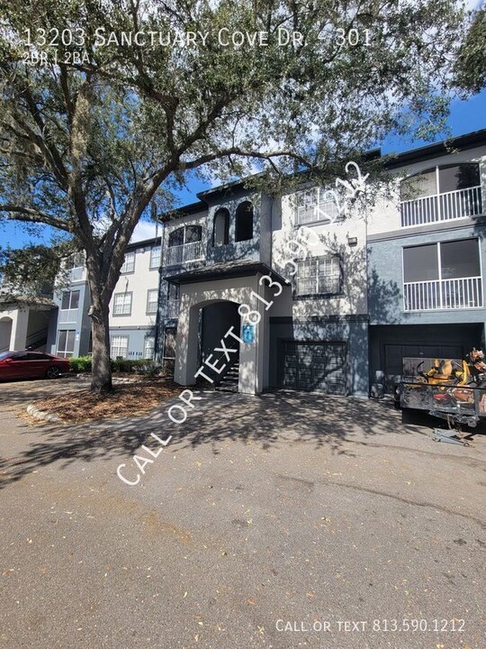 13203 Sanctuary Cove Dr in Temple Terrace, FL - Building Photo