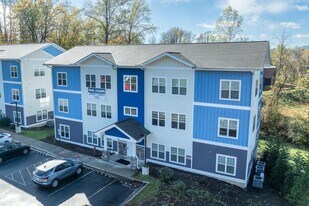 41 Mary Helen Pl in Brevard, NC - Building Photo