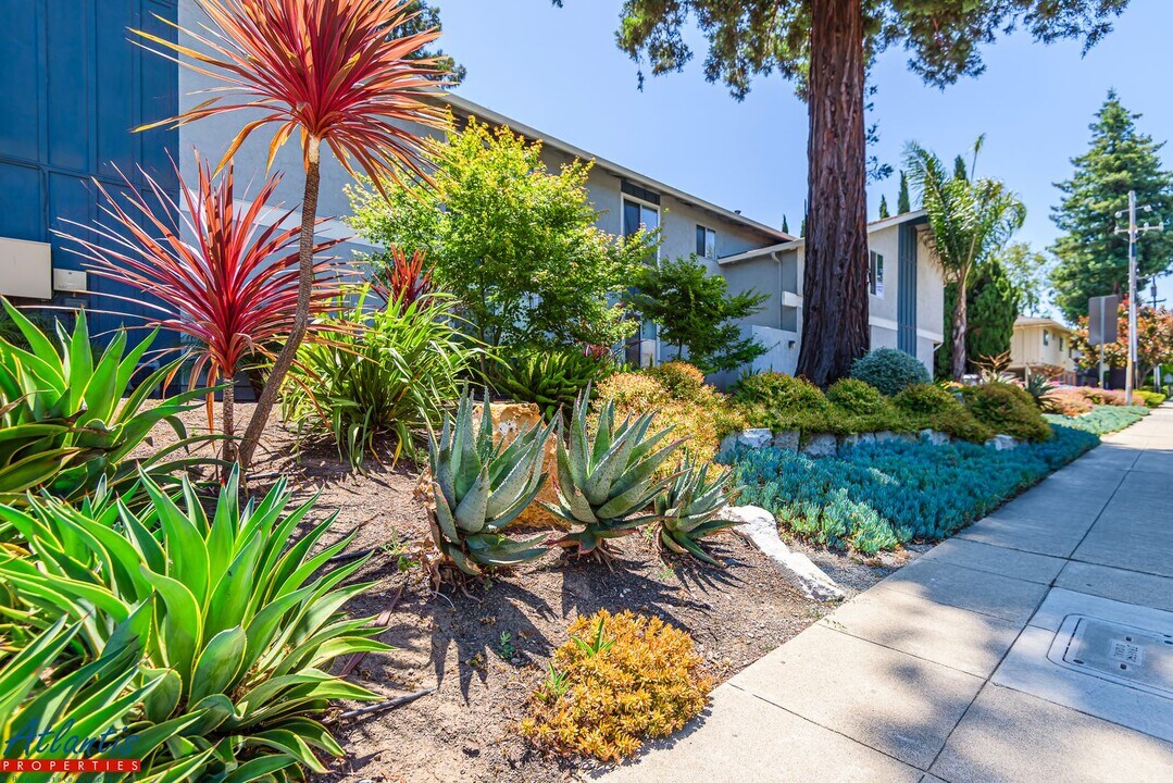 255 Easy St in Mountain View, CA - Building Photo
