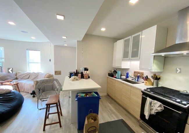 113 Hillside St, Unit 1 in Boston, MA - Building Photo - Building Photo