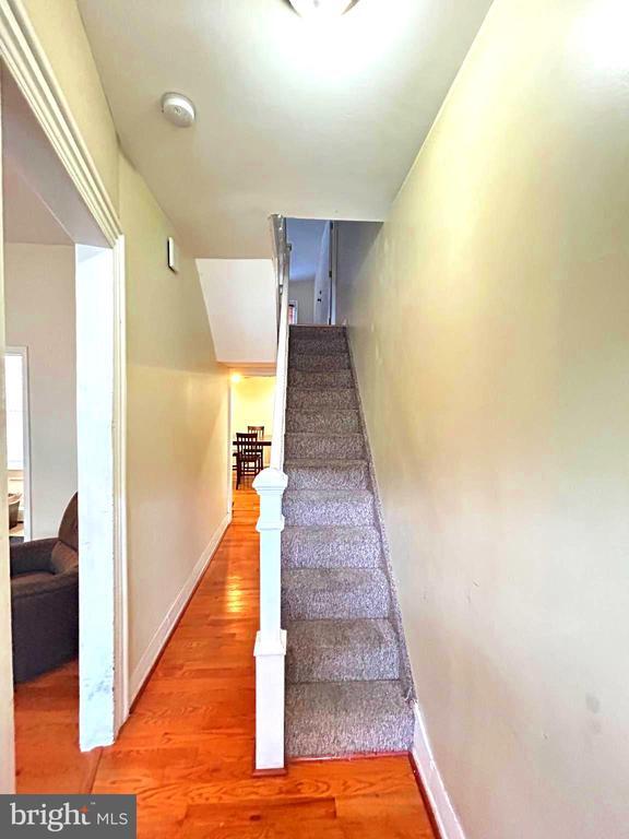 1808 Vineyard St in Philadelphia, PA - Building Photo - Building Photo