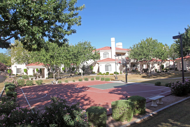 San Palmilla in Tempe, AZ - Foto de edificio - Building Photo