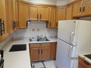 123-125 S Brittingham Pl in Madison, WI - Building Photo - Building Photo