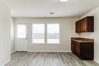 1031 Briza Del Mar Ct in Richmond, TX - Building Photo - Building Photo