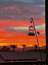 13700 N Fountain Hills Blvd, Unit 309 in Fountain Hills, AZ - Foto de edificio - Building Photo