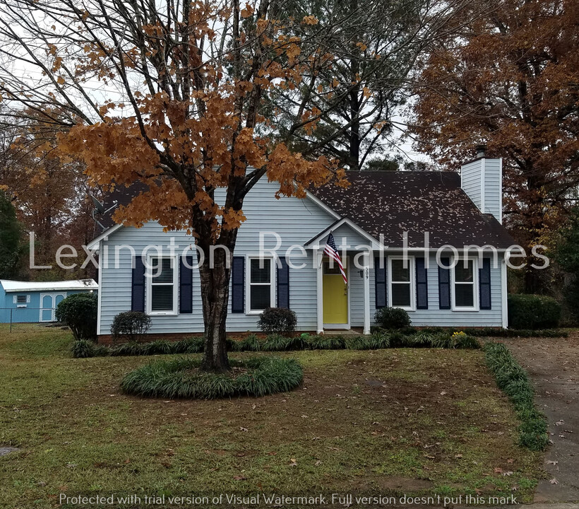 509 Cranford Ct in Lexington, SC - Building Photo