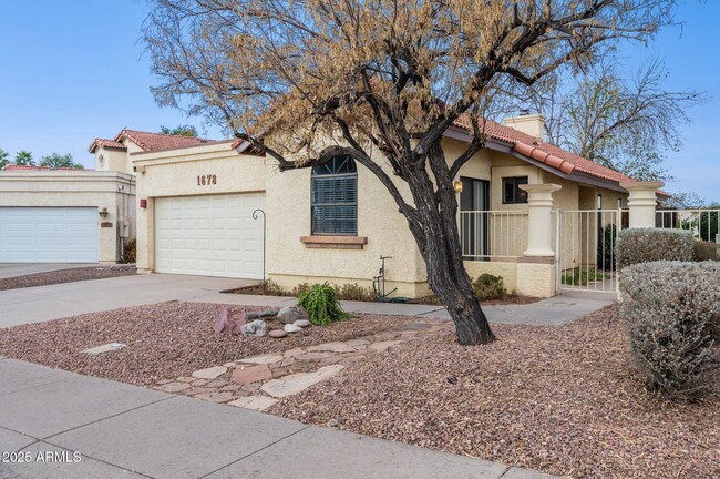 1678 E Cindy St in Chandler, AZ - Building Photo - Building Photo