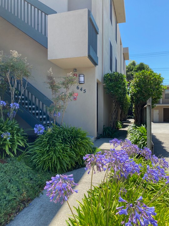 645 Rollins Rd, Unit 1 in Burlingame, CA - Foto de edificio