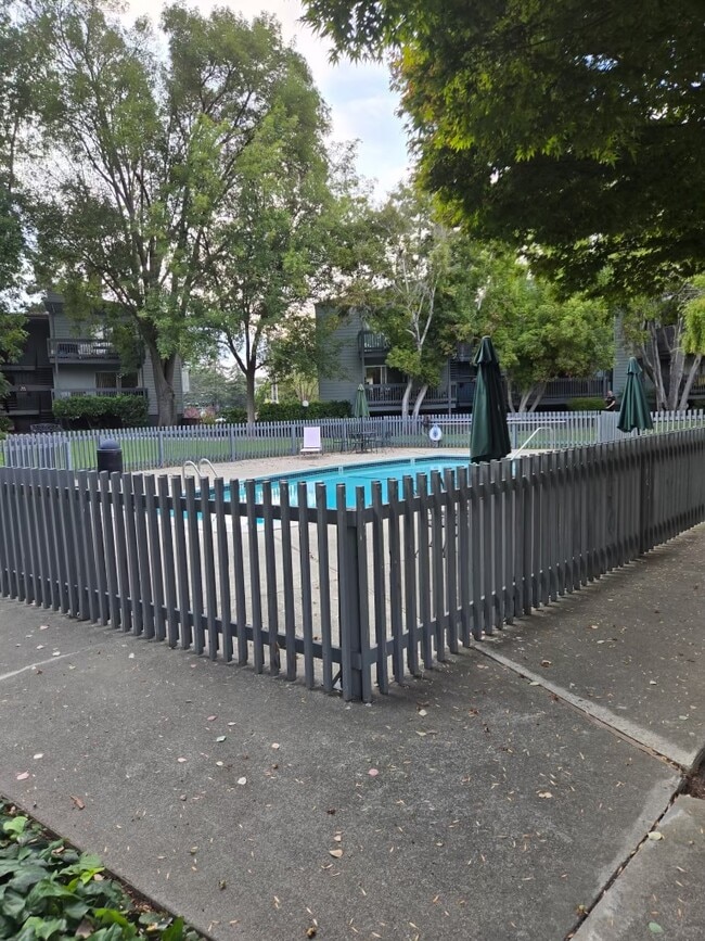 62 Laurie Meadows Dr, Unit 1 in San Mateo, CA - Building Photo - Building Photo