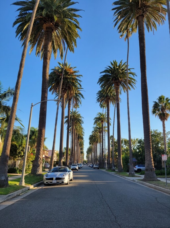 362 S Palm Dr in Beverly Hills, CA - Building Photo - Building Photo