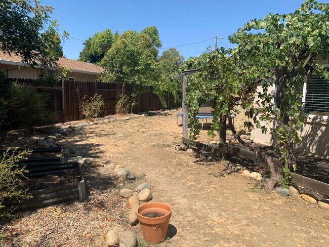 1921 Drexel Dr in Davis, CA - Building Photo - Building Photo