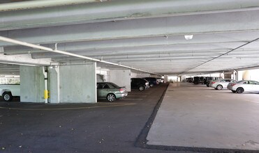 Bayfront in Naples, FL - Building Photo - Building Photo